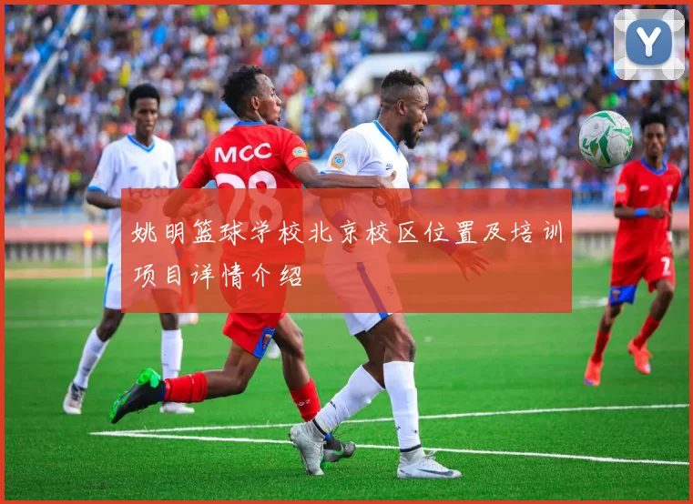 姚明篮球学校北京校区位置及培训项目详情介绍