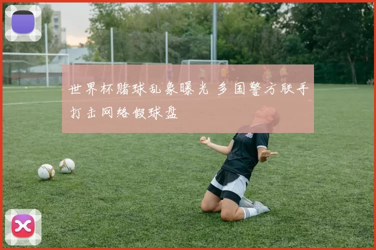 世界杯赌球乱象曝光 多国警方联手打击网络假球盘