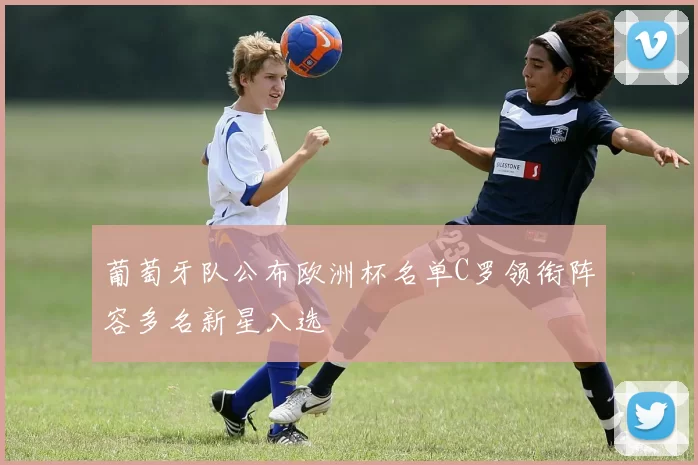 葡萄牙队公布欧洲杯名单C罗领衔阵容多名新星入选