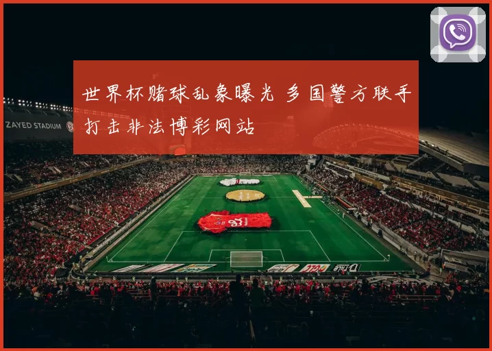 世界杯赌球乱象曝光 多国警方联手打击非法博彩网站