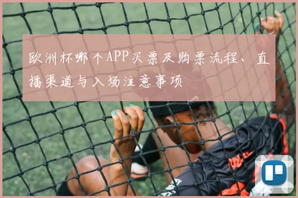 欧洲杯哪个APP买票及购票流程、直播渠道与入场注意事项