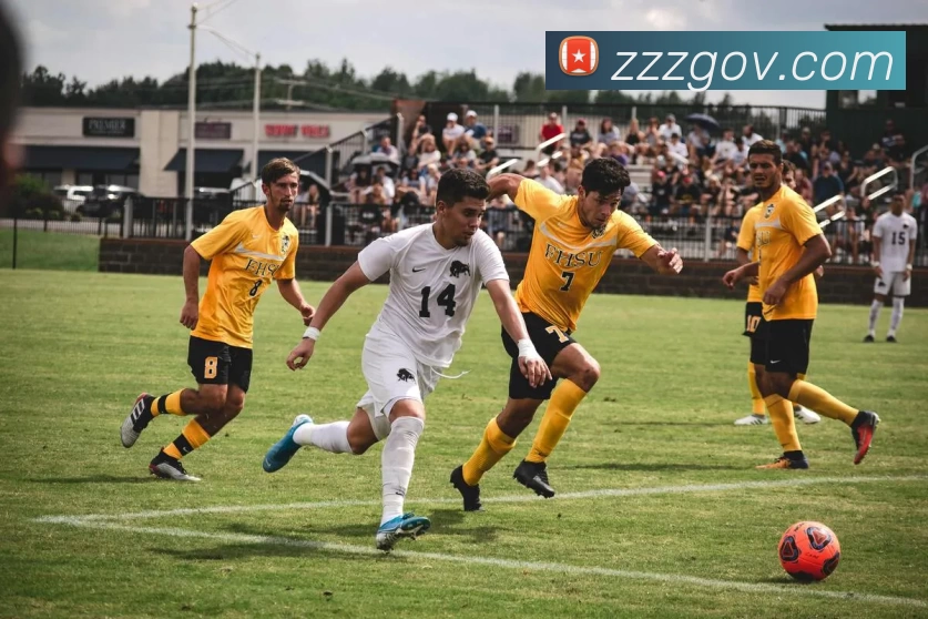 欧宝app官方端入口 - 欧宝(中国)APP 封面图